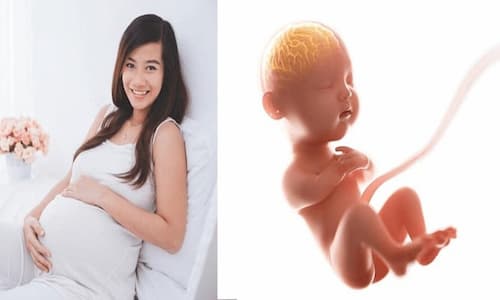 anh-huong-cua-phu-thai-vien-cong-nghe-dna