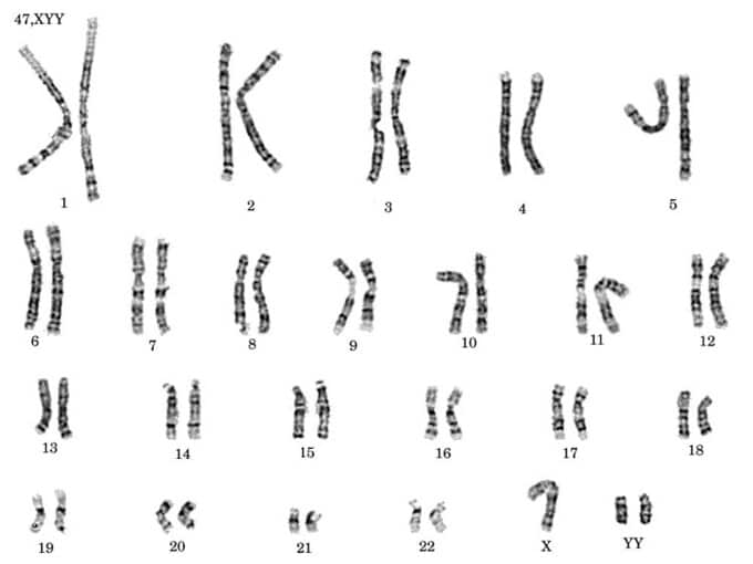 hoi-chung-sieu-nam-vien-cong-nghe-dna-02