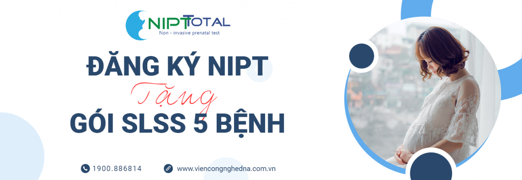 NIPT tang SLSS