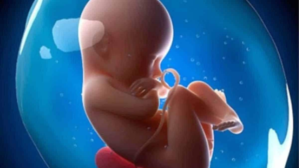 xét nghiệm NIPT-Total vô cùng an toàn