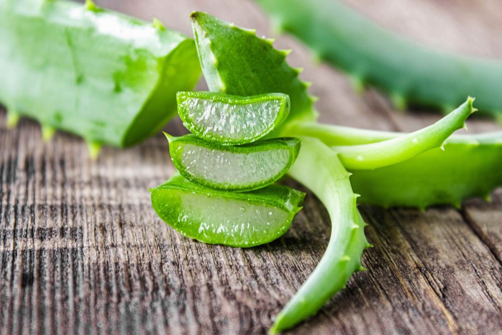 Sữa rửa mặt nha đam