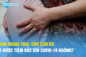Đang mang thai có được tiêm vaccine Covid-19?