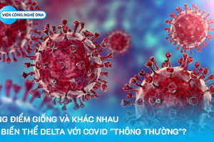 Những điểm giống và khác giữa biến thể Delta với Covid “thông thường”