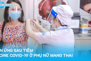 Phản ứng sau tiêm vaccine Covid-19 ở phụ nữ mang thai