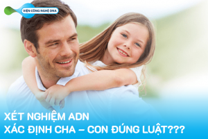 Xét nghiệm ADN xác định cha-con đúng luật