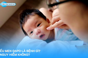 Thiếu men G6PD là bệnh gì? Có nguy hiểm không?
