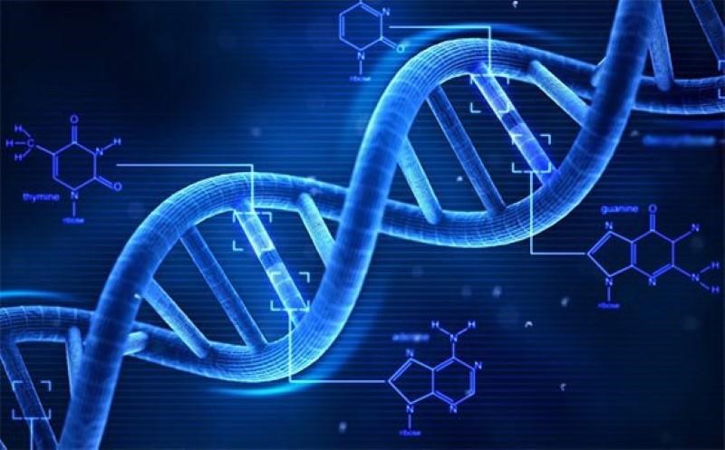 Dot bien DNA Nguyen nhan hang dau gay ung thu o tre em 03