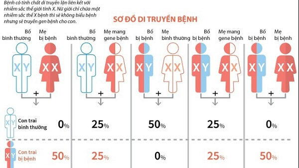 Cơ chế di truyền bệnh máu khó đông khi mang thai