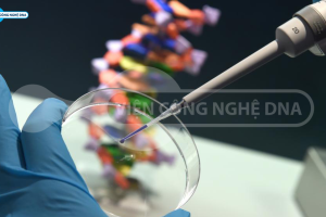 Lợi ích của việc giải mã bộ gene người