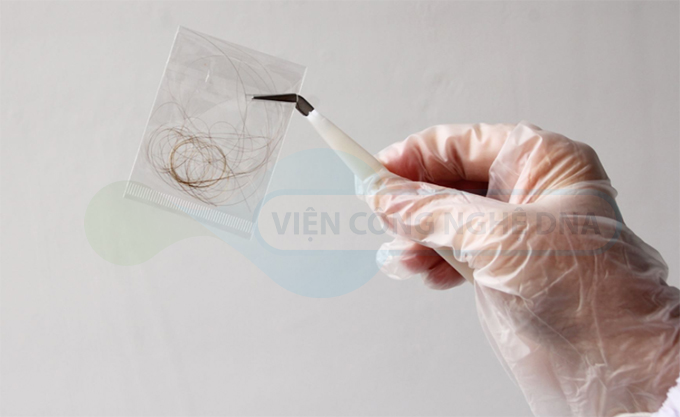 ​Xét nghiệm ADN bằng tóc