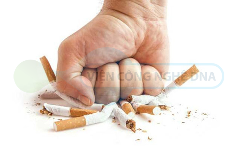 Tránh xa thuốc lá để bảo vệ sức khỏe