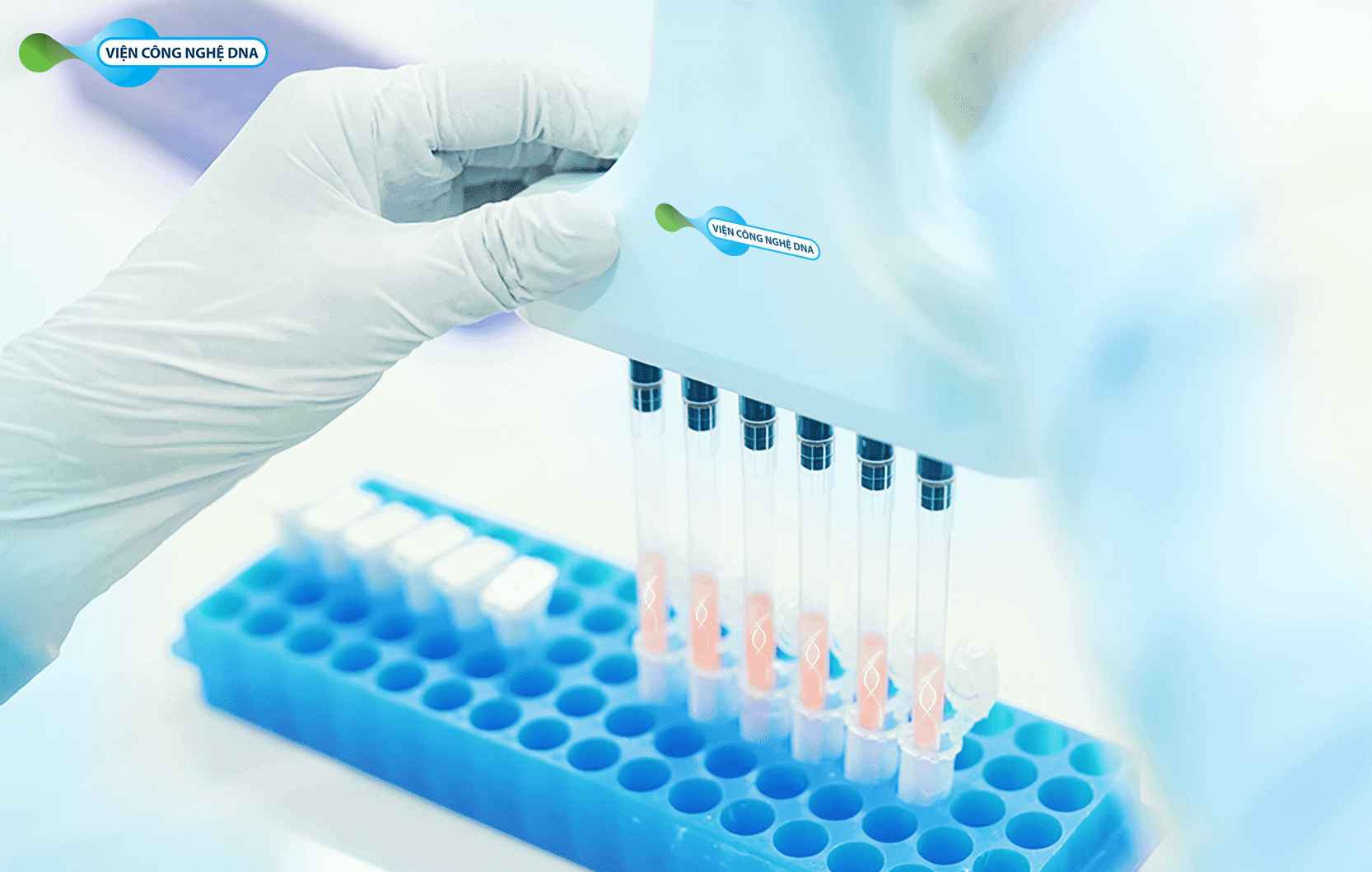 Các xét nghiệm Sàng lọc trước sinh có thể giúp xác định nhiều dị tật bẩm sinh