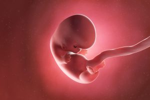 Thai 8 tuần đã bám chắc chưa, cần làm gì để có thai kỳ khỏe mạnh?