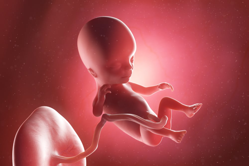 Mẹ bầu ho mọc tóc vào tháng thứ mấy?