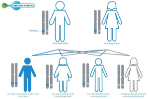 Trước khi kết hôn, đừng quên xét nghiệm tầm soát người lành mang gene bệnh