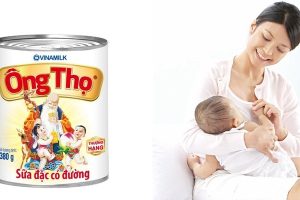 Mẹ sau sinh uống sữa ông thọ được không?