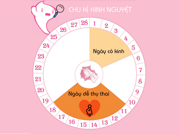 Canh trứng giúp tăng cơ hội thụ thai thành công cho các chị em
