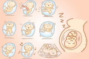 Thai máy 3 tháng đầu – Những hiểu lầm mẹ cần biết