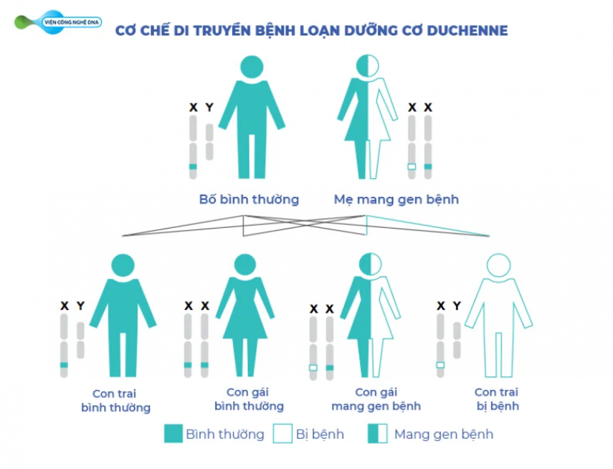 loan duong co 2