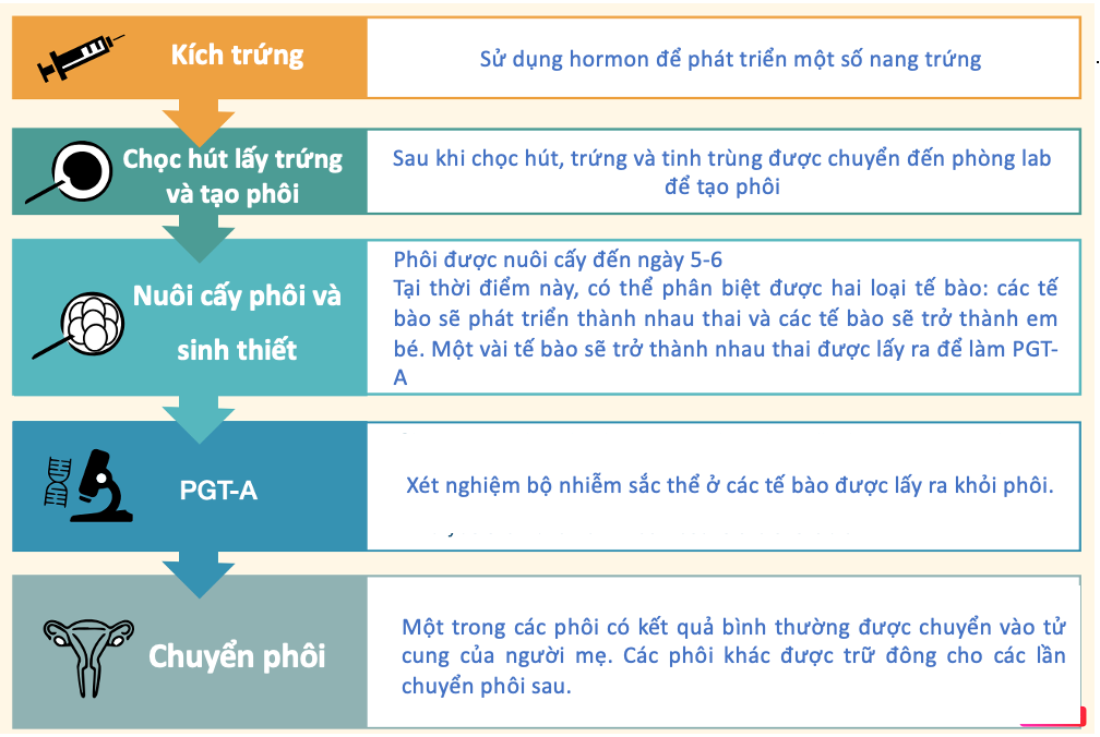 Sàng lọc phôi là gì? 19 sang loc phoi 4