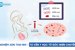 Xét nghiệm ADN thai nhi – Tư vấn y học từ góc nhìn chuyên gia