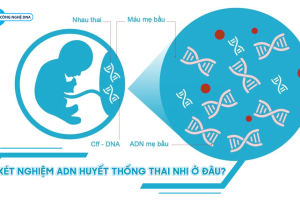 Xét nghiệm ADN huyết thống thai nhi ở đâu?