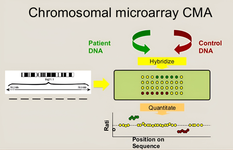 ky thuat microarray la gi cong dung va nguyen ly hoat dong cua no 1 a7c51ab94c