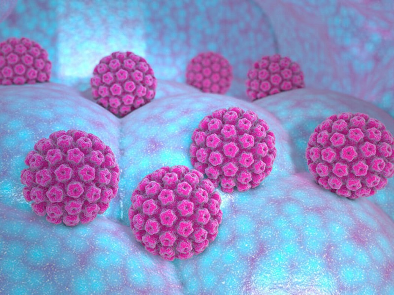 virus hpv 5